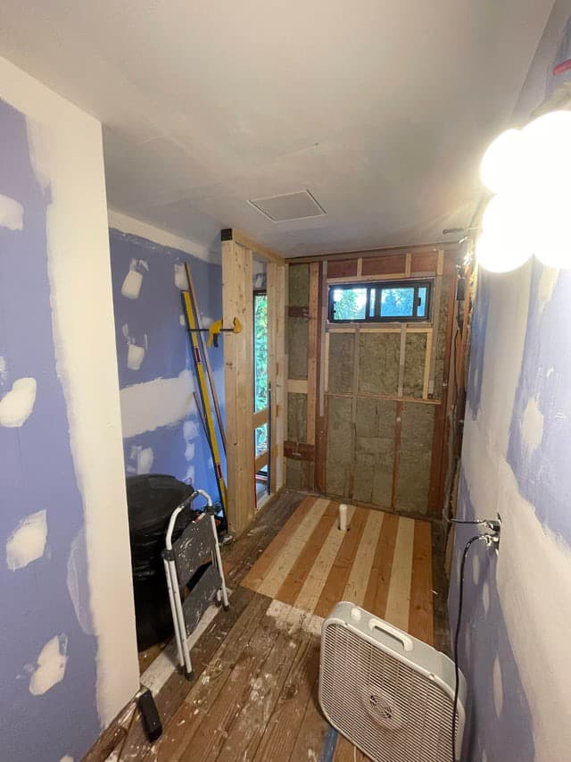 bathroom remodel — before